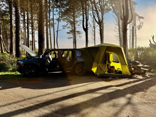 Kalaloch Campground by null