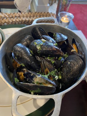 Batuqui on the Falls by null