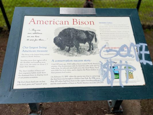 Bison Paddock by null