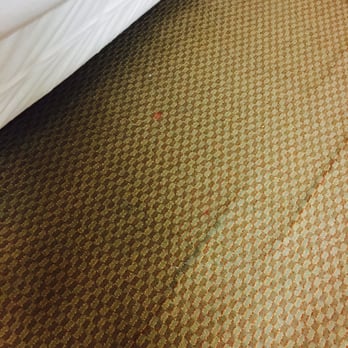 Great Wolf Lodge - Filthy carpet with wet red juice - Resorts Near Me - Williamsburg, Virginia