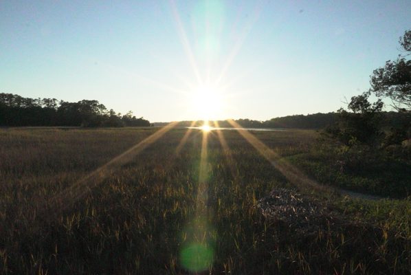Skidaway Island State Park by null