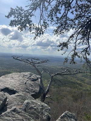 Cheaha State Park by null