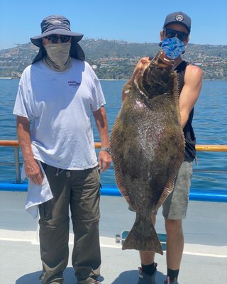 Dana Wharf Sportfishing & Whale Watching Dana Point by null