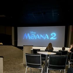Cinema Grill - The screen