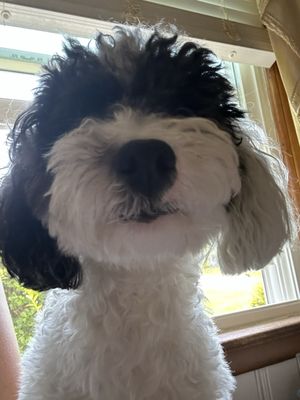 Washington General Store