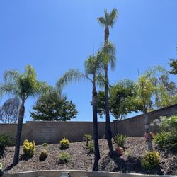 López Lawn and Tree Service - #2023