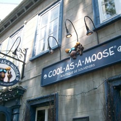 Cool As A Moose