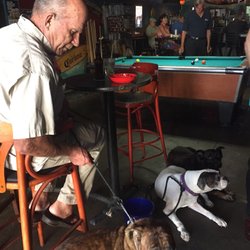 Wet Spot - Friday is dog day!