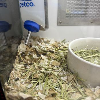 Petco - Pet Stores Near Me - Plano, Texas