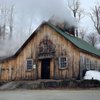 Ben's Sugar Shack gift card