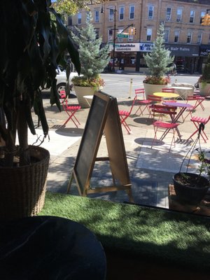 Bamboo Tropical by null