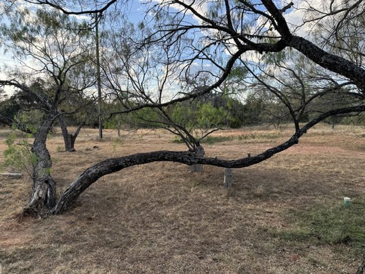 Barons CreekSide by null