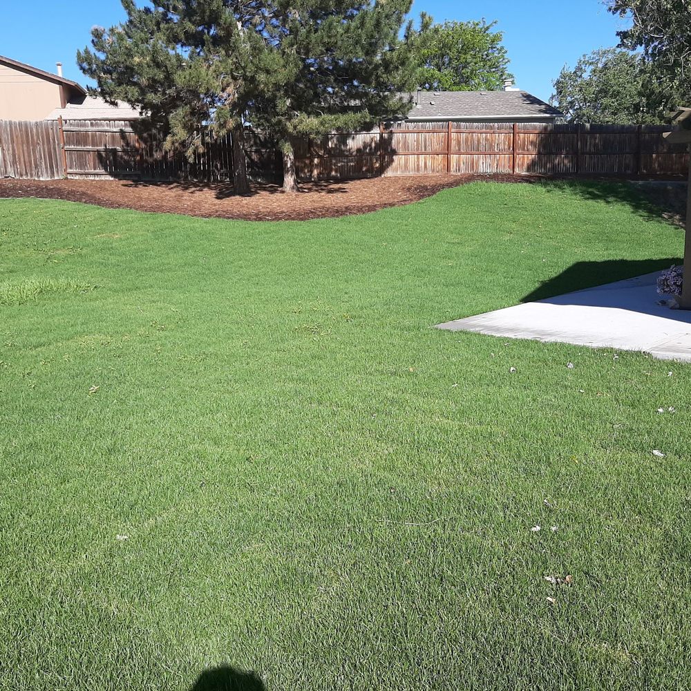 The Sod Guy - Lawn Services Near Me - Parker, Colorado The Sod Guy - Lawn Services Near Me - Parker, Colorado