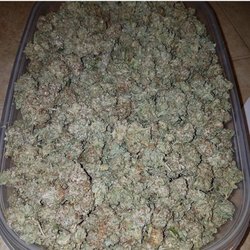 First Natural Wellness - Pure michi ganja