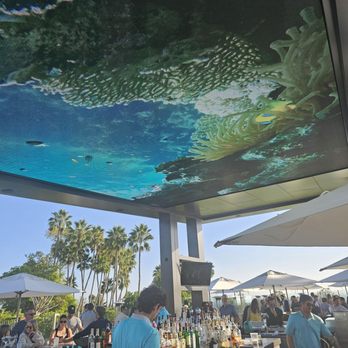 Edge Bar - Cocktail Bars Near Me - Newport Beach, California Edge Bar - Cocktail Bars Near Me - Newport Beach, California