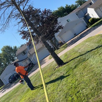 Blondes Tree Service - Safety - Tree Services Near Me Blondes Tree Service - Safety - Tree Services Near Me
