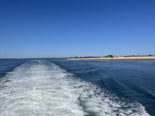 Hyannis Whale Watcher Cruises by null