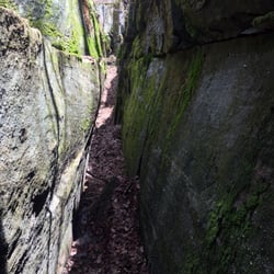 Allegany State Park - Did a little mountain biking over the weekend and we stumbled across some random caves.