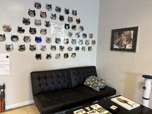 Kitty Cat Cafe and Adoption Lounge Inc by null