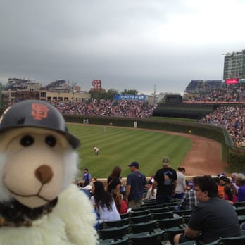 Wrigley Field - Stoney visiting Wrigley Field from the San Francisco Bay Area. - Stadiums & Arenas Near Me - Chicago, Illinois