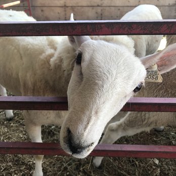 Windsor Fair - Hello!! - Festivals Near Me - Windsor, Maine