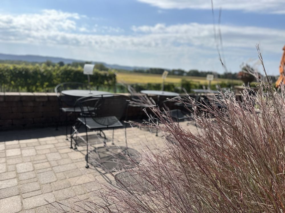 Elmaro Vineyard Logo