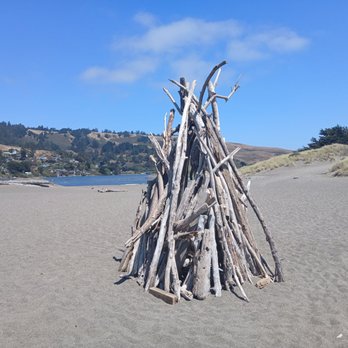Goat Rock Beach - Parks Near Me Goat Rock Beach - Parks Near Me