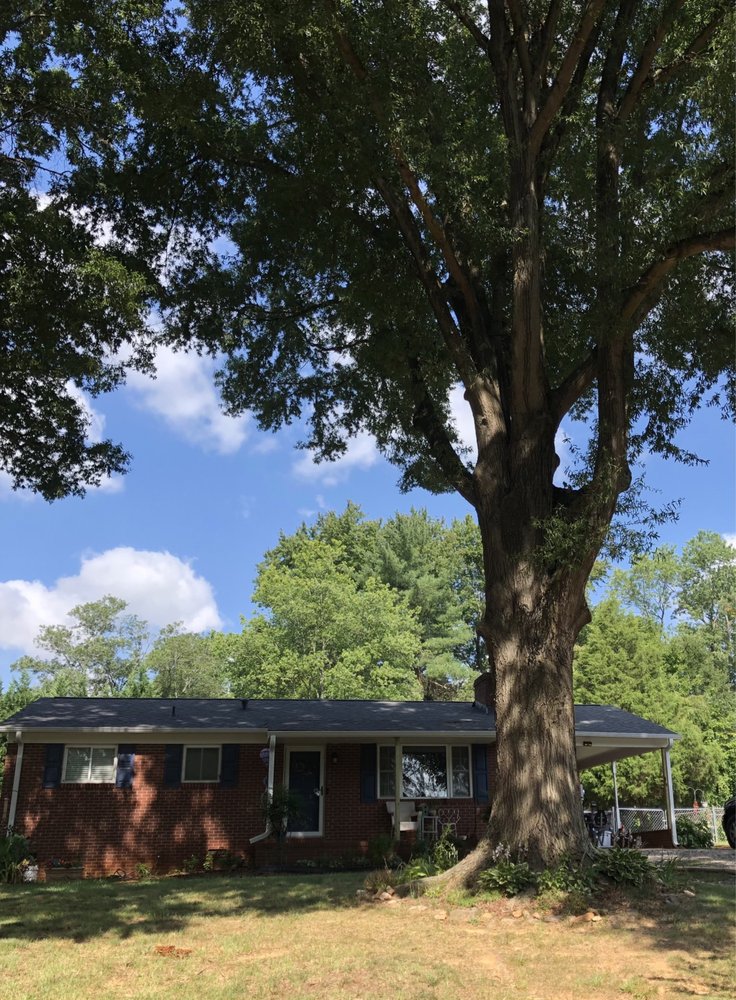 Galle Excavation and Tree Care - septic in Statesville, NC