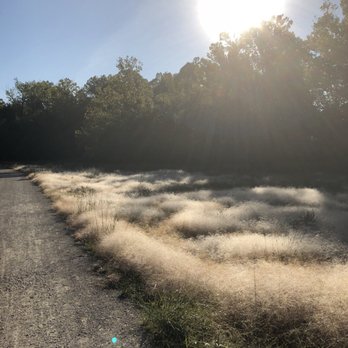 Al Foster Trail - Hiking Near Me - Wildwood, Missouri