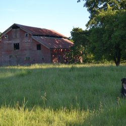Springbank Farm
