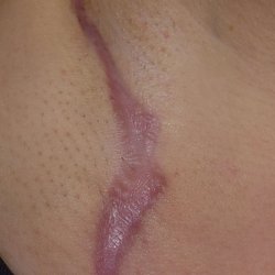 Coastal Plastic Surgeons