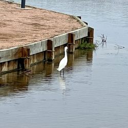 South Texas EcoTourism Center