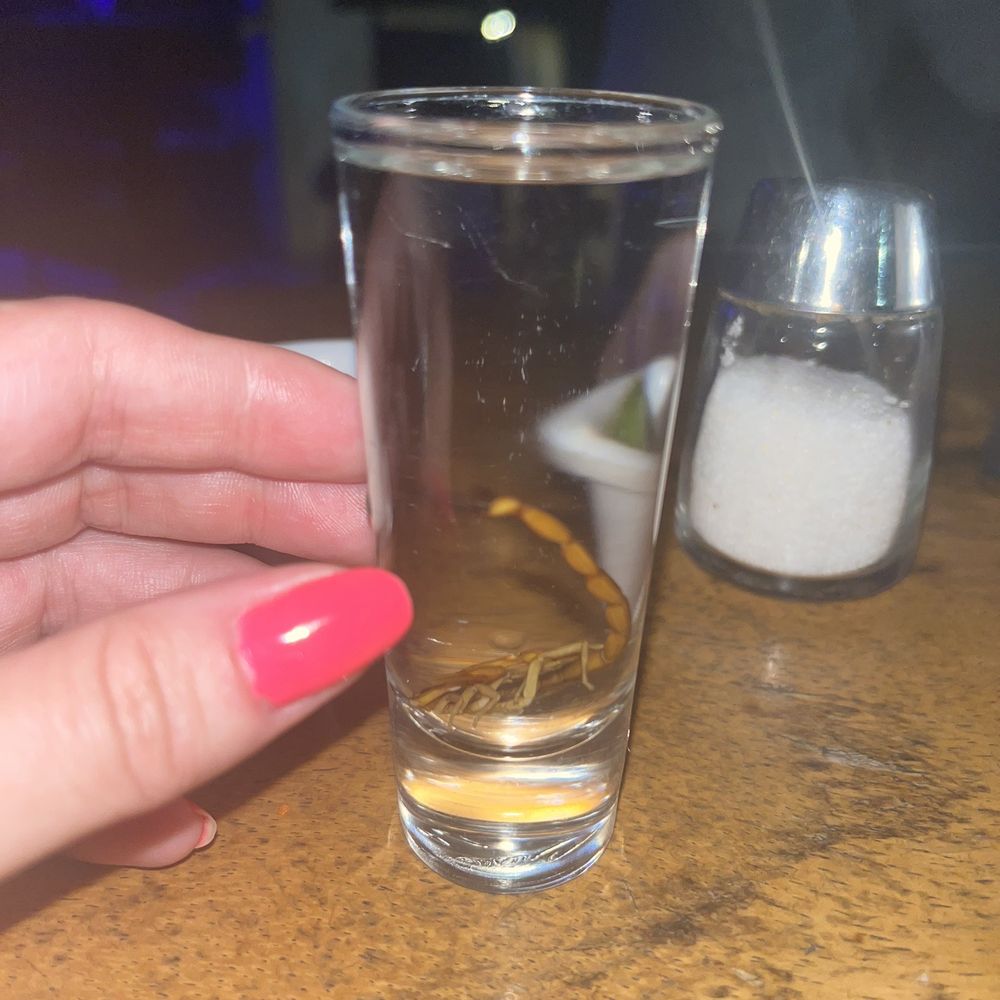 Cocks Cantina - Scorpion Shot - Bars Near Me - Cabo San Lucas, BCS