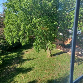 Comfort Inn Ballston - Grassy area for pet owners. - Hotels Near Me - Arlington, Virginia