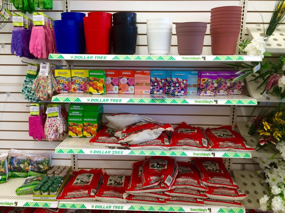 DOLLAR TREE Updated May 2024 11 Photos 7115 N US Hwy 441, Ocala