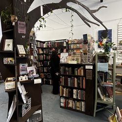 The Bear and Bee Bookshop