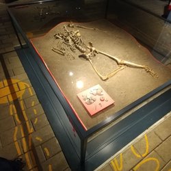 Vikingemuseet - One of the former inhabitants of Aarhus.