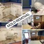 Am:Pm Restoration and Construction