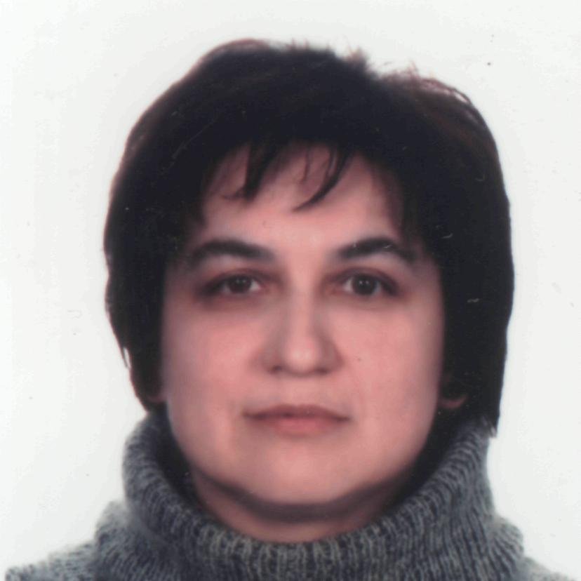 Mariya Howykowycz - immigration attorney in Parma, OH