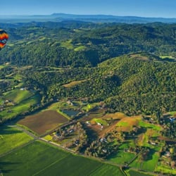 Cruise Planners / American Express Travel - Wine Country Travel Consultations