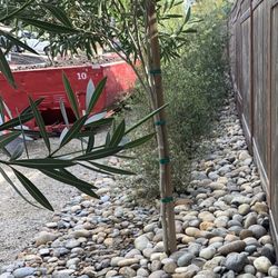 Mckay Irrigation Systems