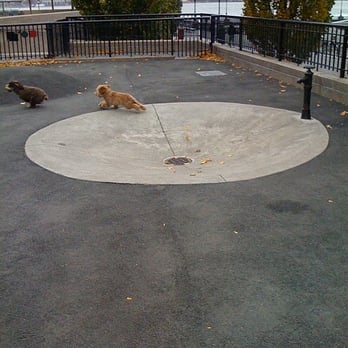 Sirius Dog Run - Dog Parks Near Me - New York, New York