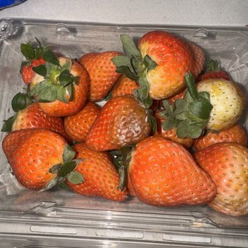 H-E-B - Mold on strawberries - Grocery Near Me - Pflugerville, Texas