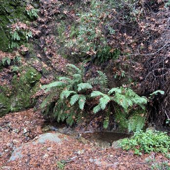 Mt. Wilson Trail - Parks Near Me - Sierra Madre, California Mt. Wilson Trail - Parks Near Me - Sierra Madre, California