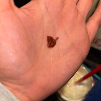Chick-fil-A - Peel/leaf No clue - Chicken Shop Near Me - Henderson, Nevada Chick-fil-A - Peel/leaf No clue - Chicken Shop Near Me - Henderson, Nevada