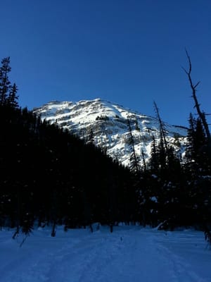 Peter Lougheed Provincial Park by null