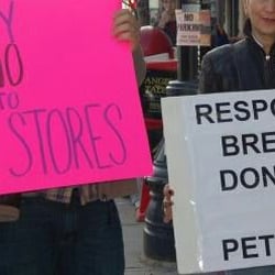 New England Pet Supply Outlet