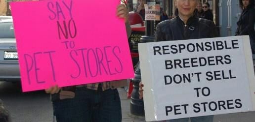 New England Pet Supply Outlet Image