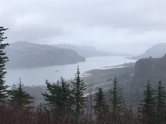 Portland Women's Forum State Scenic Viewpoint by null
