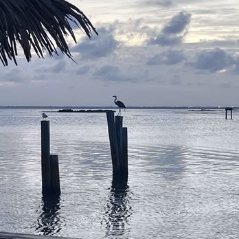 Doc's Seafood & Steaks - The view from outside of the restaurant - Seafood Near Me - Corpus Christi, Texas